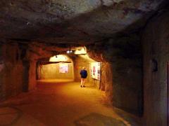 149 MUSEE DU CHAMPIGNON A  SAUMUR 2016 1_000044